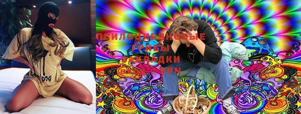 шишки Армянск